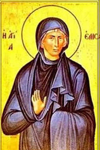  Santa Elisa