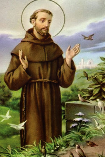  São Francisco De Assis